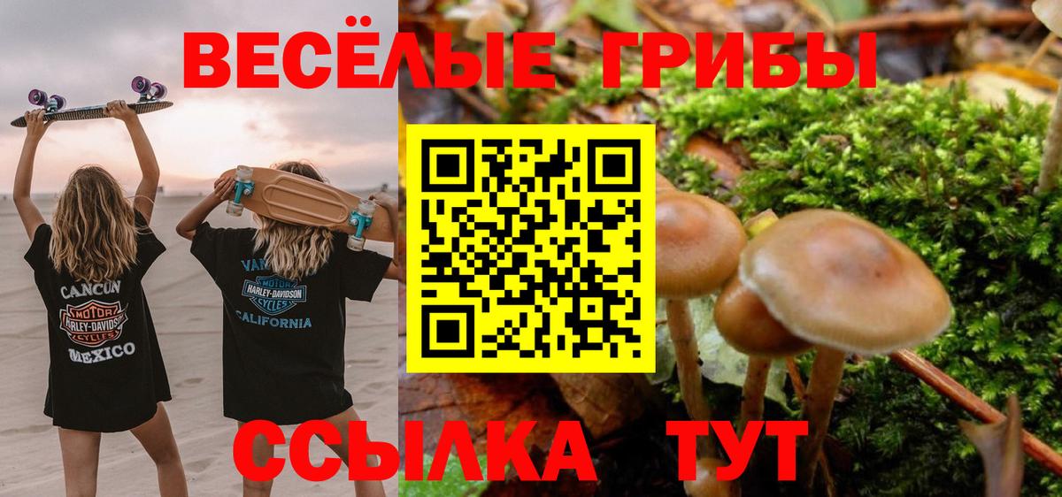 Кисловодск  Галлюциногенные грибы Cubensis  Вход с VPN 