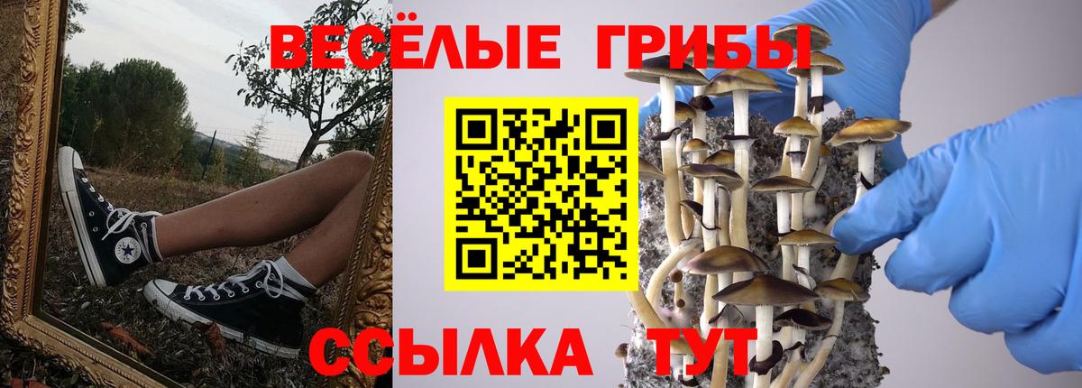Псилоцибиновые грибы Magic Shrooms Кисловодск