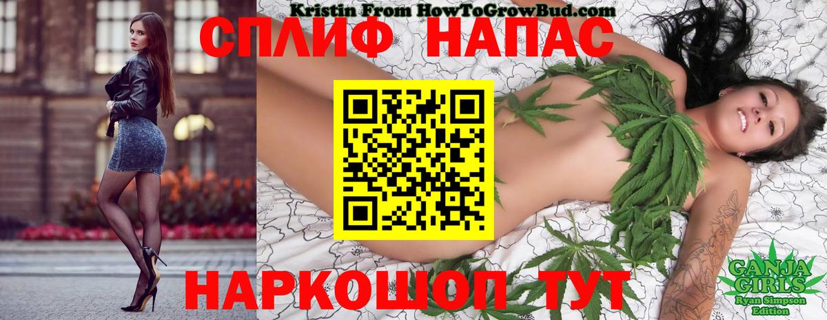 Кисловодск  Шишки марихуана конопля  Марихуана AK-47  МАРИХУАНА MAZAR  Вход с VPN 